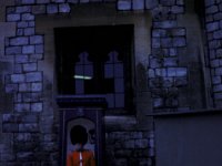 Windsor Castle Guard Sentry